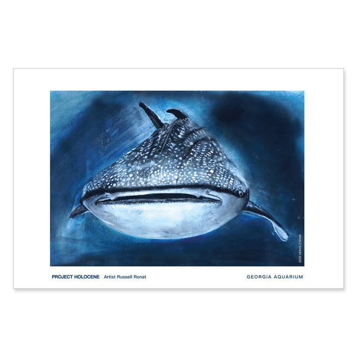 GAQ x Russell Ronat Whale Shark Exhibit Print
